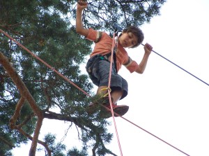 activitesmontagne66 "grimpe d'arbres" "escalade d'arbres" acrocime