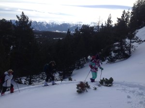 activitesmontagne66 "sorties raquettes" "raquettes à neige" montagne capcir activitesmontagne66