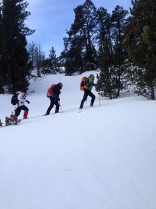 activitesmontagne66 "sorties raquettes" "raquettes à neige" montagne capcir activitesmontagne66