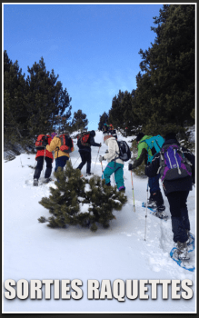 raquettes