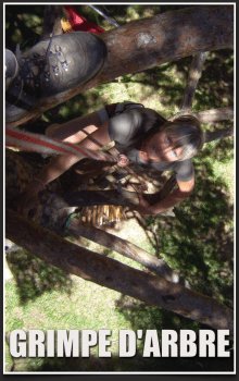 GRIMPE D'ARBRE